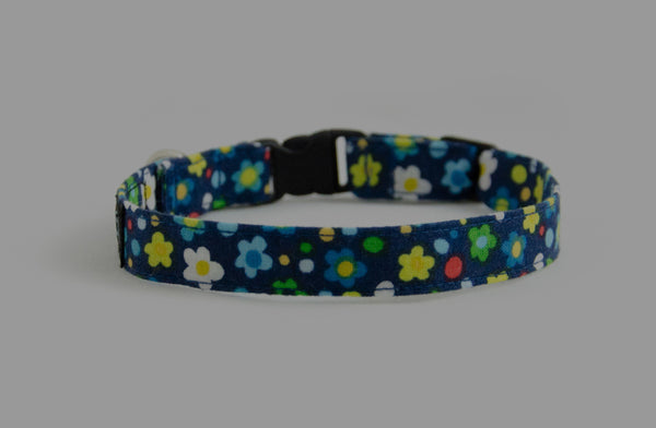 Extra Small Dog Collars