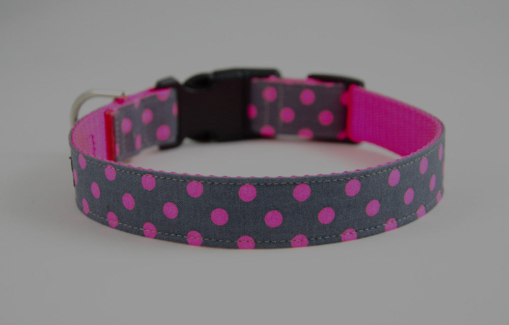 Dog Buckle Collars