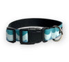 Buckle dog collar in Birdie