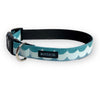 Buckle dog collar in Birdie