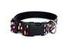 Buckle Dog Collar in Vanilla
