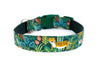 Buckle Dog Collar in Simba (green)