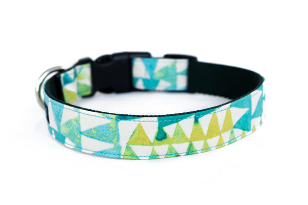 Buckle Dog Collar in Chia (green)