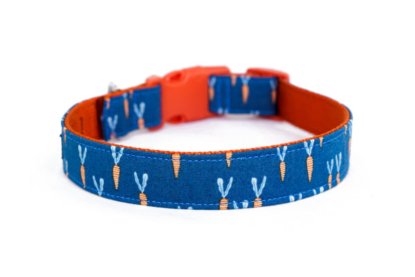 Buckle Dog Collar in Hal