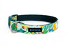 Buckle Dog Collar in Bugsy