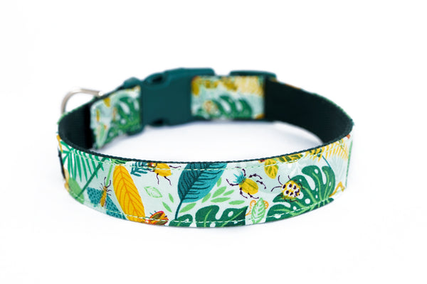 Buckle Dog Collar in Bugsy