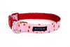 Buckle Dog Collar in Mojo