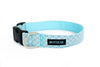 Buckle Dog Collar in Sam