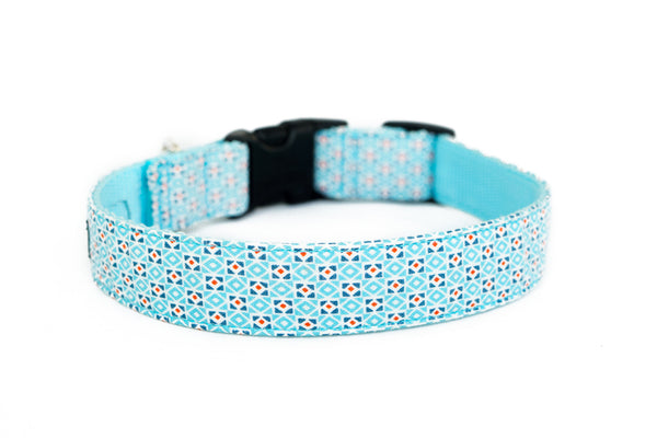 Buckle Dog Collar in Sam