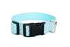 Buckle Dog Collar in Sam