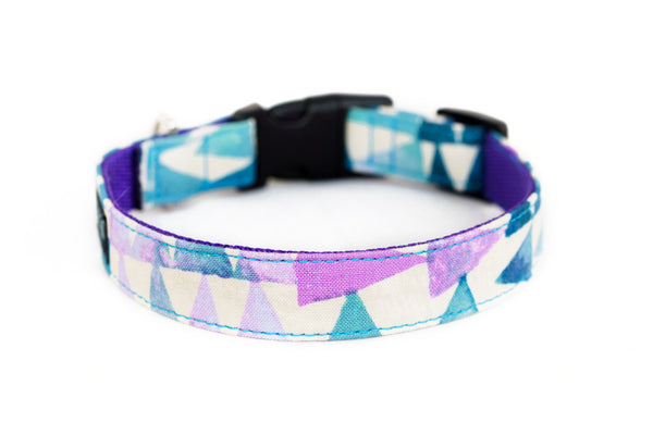 Buckle Dog Collar in Chia (purple)