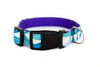 Buckle Dog Collar in Chia (purple)
