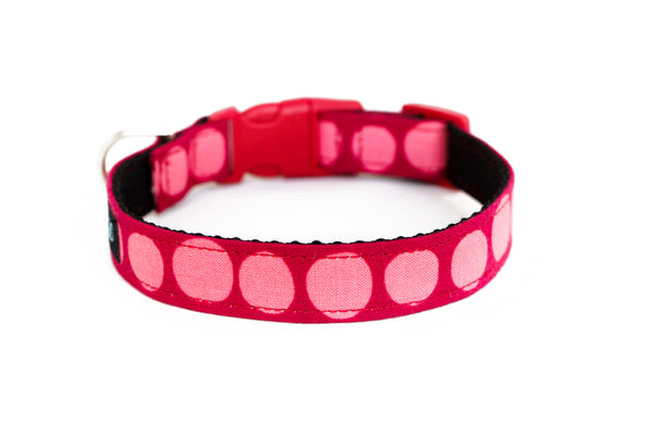 Buckle Dog Collar in Free Candy (red)