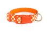 Buckle Dog Collar in Lucy