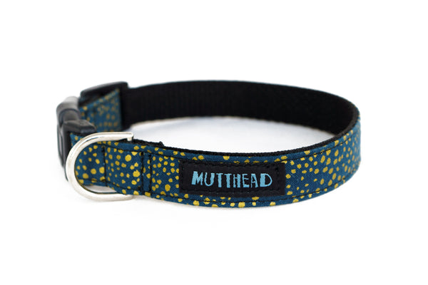 Buckle Dog Collar in Francois – Mutthead