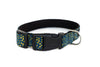 Buckle Dog Collar in Francois