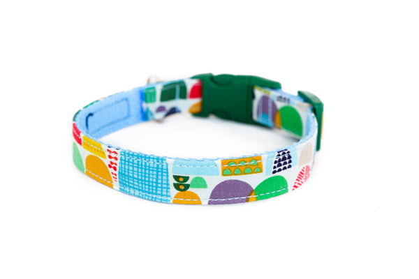 Buckle Dog Collar in Kona