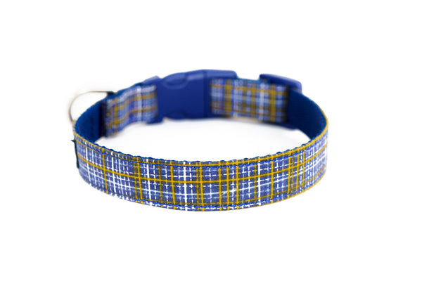 Buckle Dog Collar in Howard