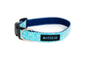 Buckle Dog Collar in Sharkey