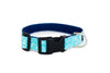 Buckle Dog Collar in Sharkey