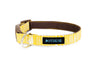 Buckle Dog Collar in GRAMPA! (yellow)