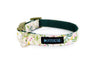 Buckle Dog Collar in Sadie