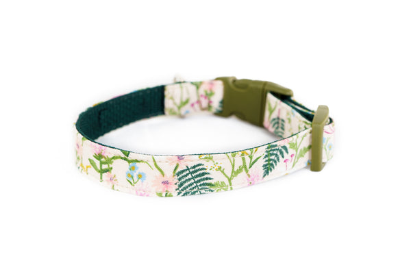 Buckle Dog Collar in Sadie