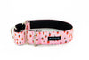 Martingale Collar in Mojo