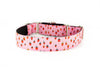 Martingale Collar in Mojo