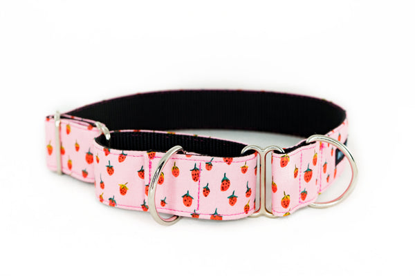 Martingale Collar in Mojo