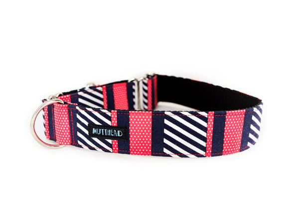 Martingale Collar in Fidget