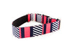 Martingale Collar in Fidget