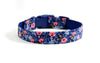 Buckle Dog Collar in Sophie