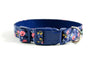 Buckle Dog Collar in Sophie