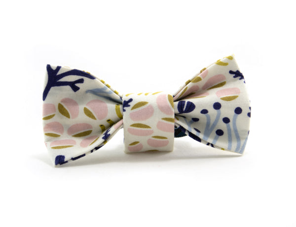 Bow Tie in Bulle