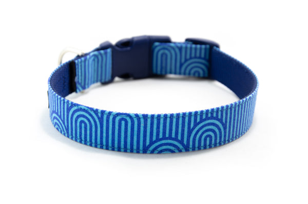 Buckle Dog Collar in Guinness (Blue)