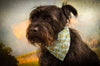 Reversible Bandana in Pinka and Flush
