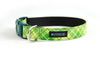 Buckle Dog Collar in Quigley (green)