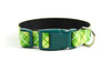 Buckle Dog Collar in Quigley (green)