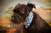 Reversible Bandana in GRAMPA! and Tyke