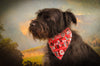 Reversible Bandana in Sharon and Grip