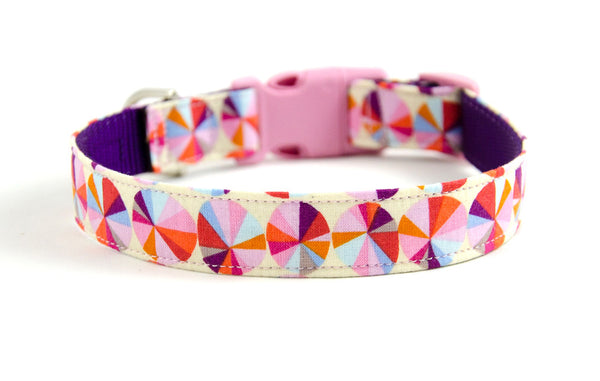 Buckle Dog Collar in Belle