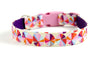 Buckle Dog Collar in Belle