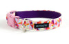 Buckle Dog Collar in Belle