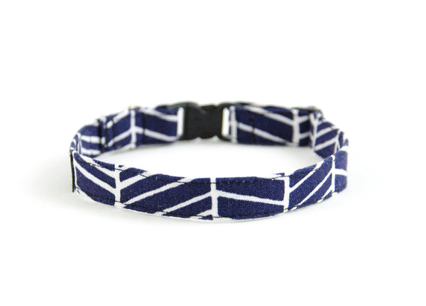 Cat collar in Bishop