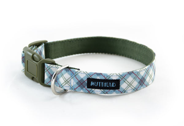 Buckle Dog Collar in Christopher