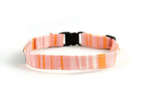 Cat collar in Cloudy