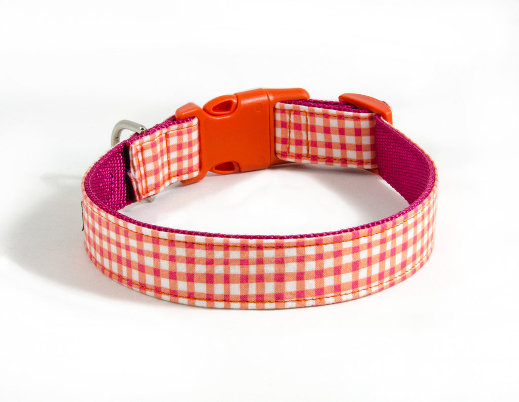 Buckle Dog Collar in Duck (Orange)
