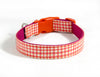 Buckle Dog Collar in Duck (Orange)