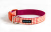 Buckle Dog Collar in Duck (Orange)